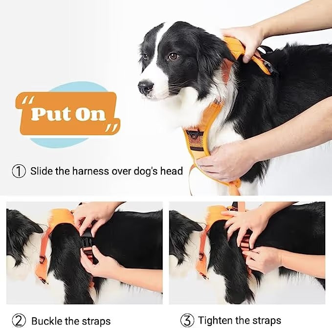 Dog Harness and Retractable Leash Set