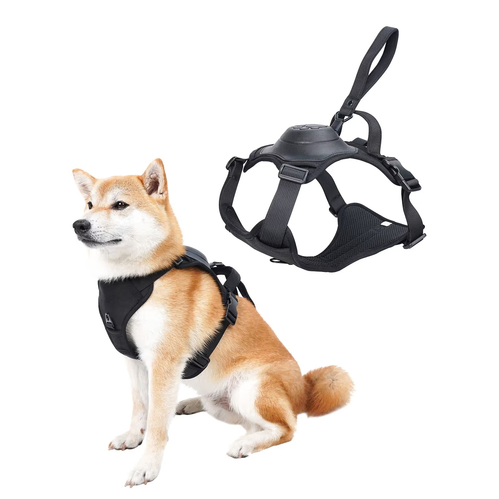 Dog Harness and Retractable Leash Set