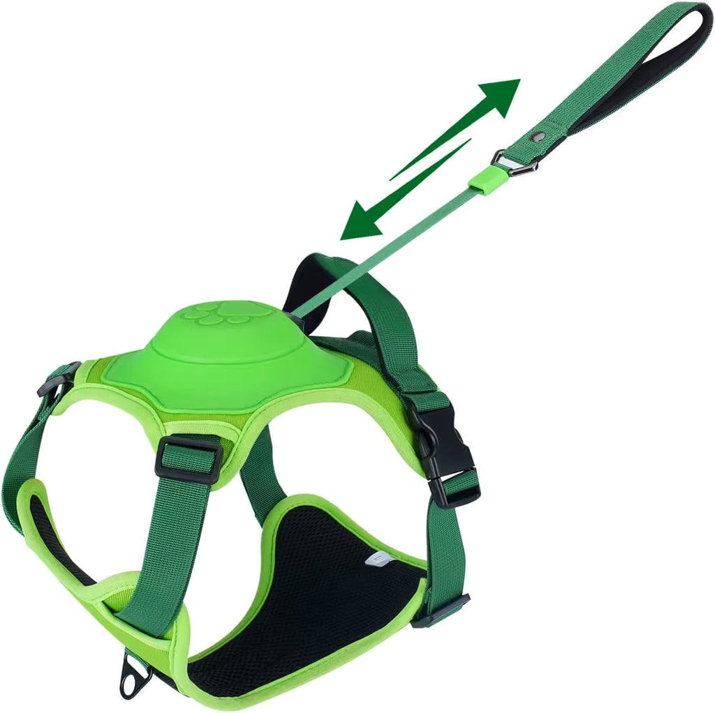 Dog Harness and Retractable Leash Set