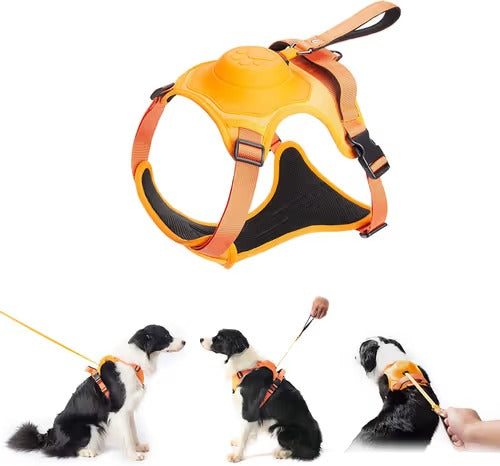 Dog Harness and Retractable Leash Set