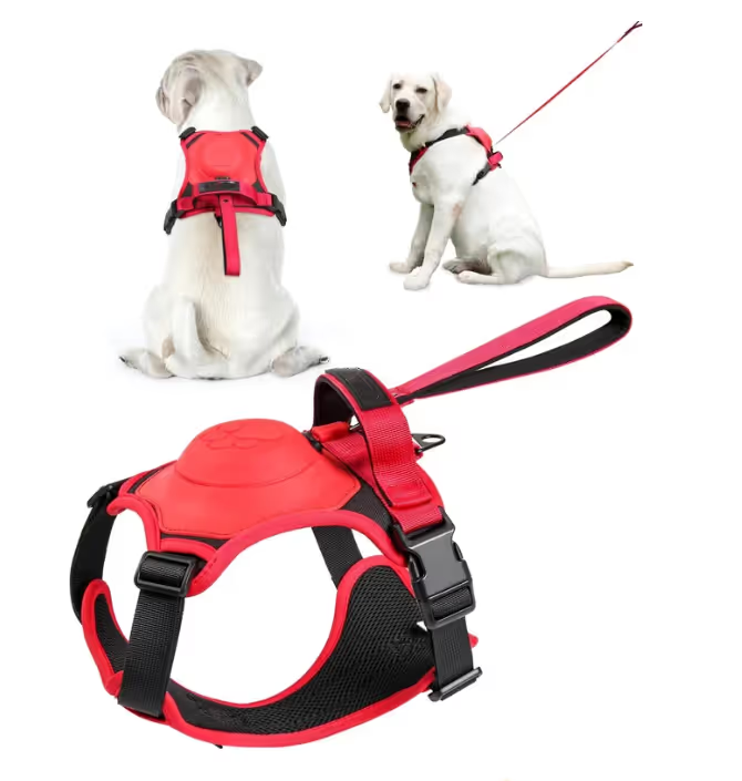 Dog Harness and Retractable Leash Set