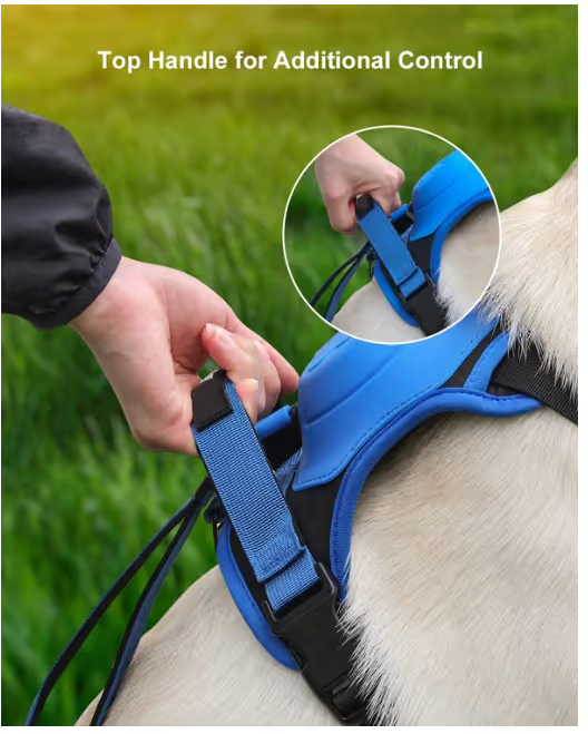 Dog Harness and Retractable Leash Set