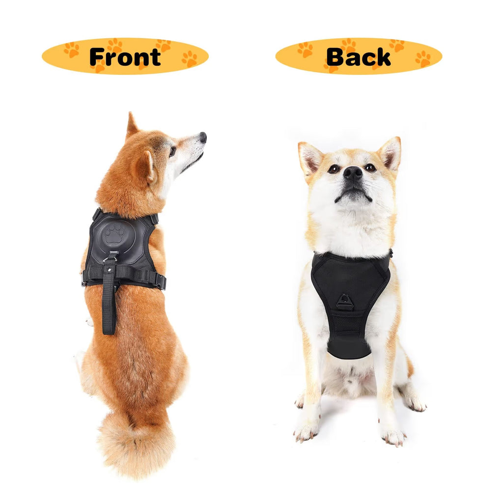 Dog Harness and Retractable Leash Set