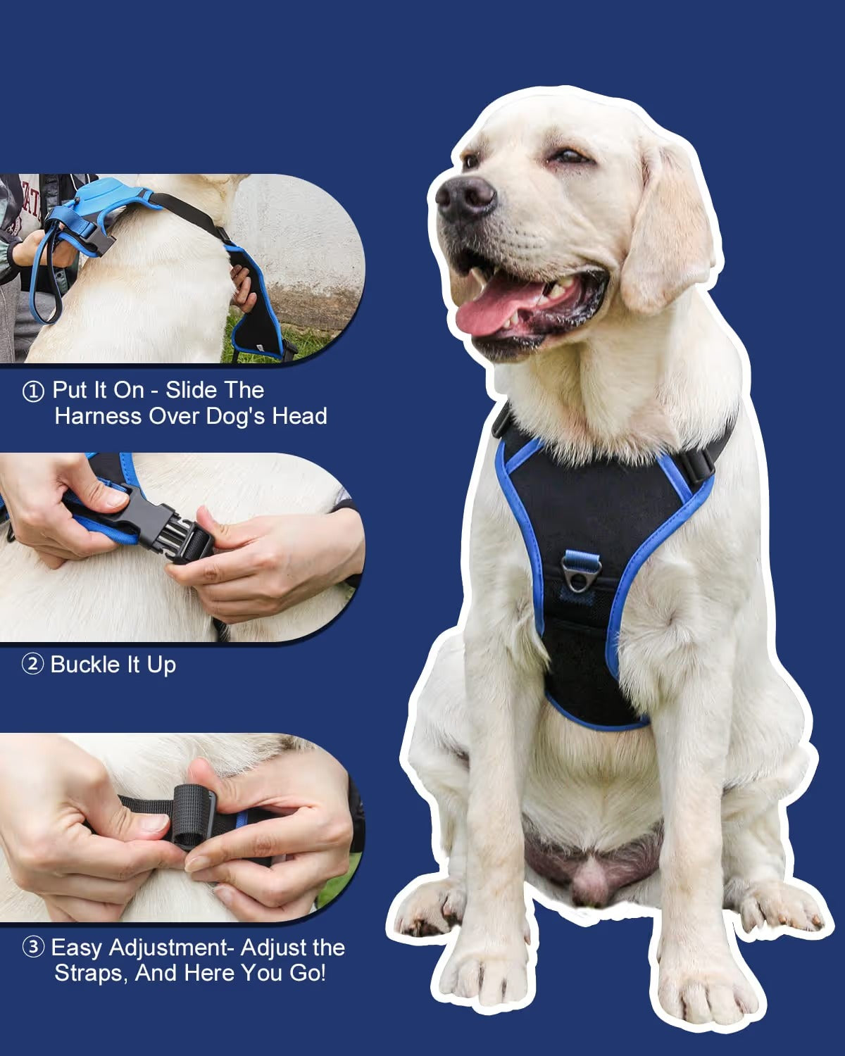 Dog Harness and Retractable Leash Set