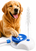Dog Water Fountain